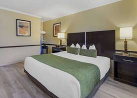 Best Western Canoga Park Motor Inn 5