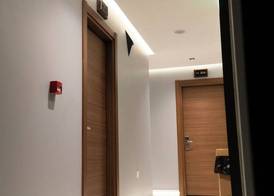 Bloom Suite 2