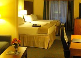 Holiday Inn Express & Suites ATLANTA EAST - LITHONIA by IHG 4