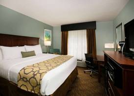 Baymont Inn & Suites Braselton 4