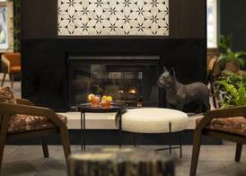 The Steward, Santa Barbara, a Tribute Portfolio Hotel 3
