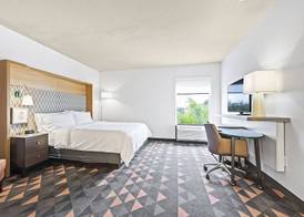 Holiday Inn ST. PETERSBURG WEST by IHG 4