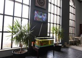 Baymont by Wyndham Flint Airport North 5