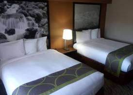 Super 8 by Wyndham Lynnwood 4