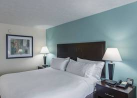 Holiday Inn Express DANDRIDGE by IHG 4