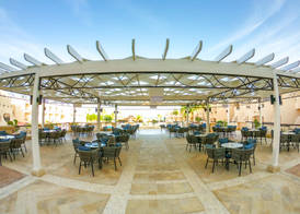 Ivy Cyrene Sharm Resort Adults Friendly Plus 13 5