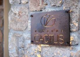 Mykonos Cactus 5