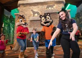 Great Wolf Lodge Grapevine 3
