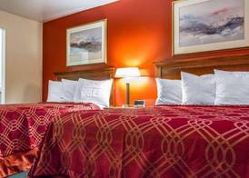 Rodeway Inn & Suites Brunswick near Hwy 1 5