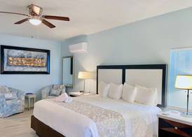 Organic Beach Retreat 5