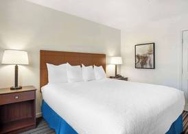 Best Western Clovis Cole 4