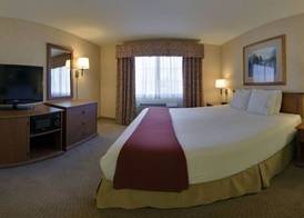 Holiday Inn Express & Suites BISHOP by IHG 3