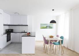 Nest- Badenerstrasse 5