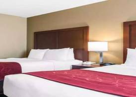 Comfort Suites Tampa Airport North 4