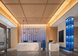 Holiday Inn Express Shenzhen Baolong Metro Station by IHG 2