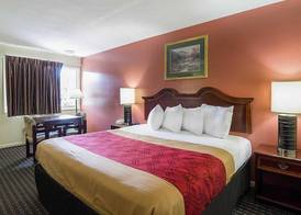 Econo Lodge Charlottesville North - University Area 4