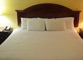 McLure Inn and Suites 5