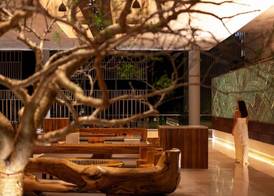 Solaz, a Luxury Collection Resort, Los Cabos 3