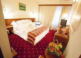 Hotel Prahova Plaza 4