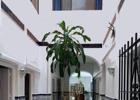 Sanvi Xerez Centro 3