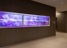 SpringHill Suites by Marriott Elizabethtown 2