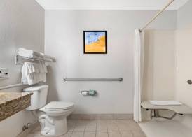 Comfort Inn & Suites Suwanee - Sugarloaf 5
