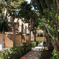 Bungalow Green Oasis Maspalomas 5