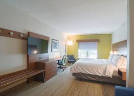Holiday Inn Express & Suites TAMPA -USF-BUSCH GARDENS by IHG 5