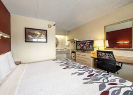 Red Roof Inn Albany Airport 5