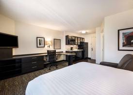 Sonesta Simply Suites Clearwater St. Petersburg 5