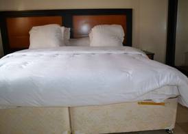 Aurelia Palace 4