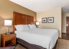 Comfort Inn & Suites Waller 5