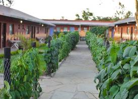 Sweet Lake Resort 2