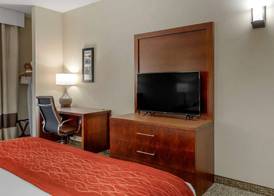 Comfort Inn & Suites Canton Riverstone Area 4