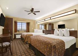 Microtel Inn & Suites by Wyndham Round Rock 4
