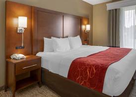Comfort Suites Knoxville North 5