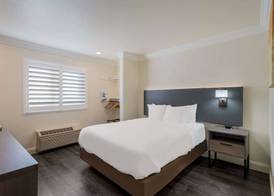 Comfort Inn Gilroy 5