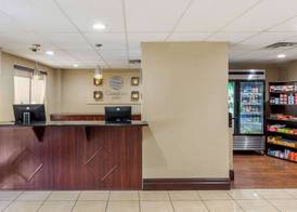Comfort Inn St Petersburg North 2