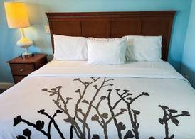 Mountain View Inn Irvine Near Richmond KY 5