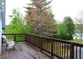 Sara Placid Inn & Suites 4