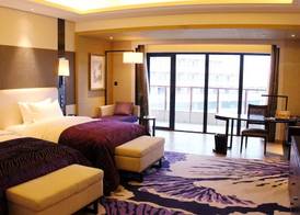 Radisson Blu Hotel Wuhan ETD Zone 4
