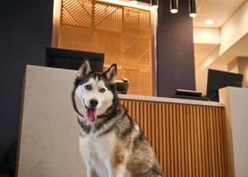 Hyatt Place Tampa Airport/Westshore 2