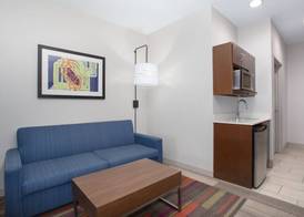Holiday Inn Express & Suites AMARILLO by IHG 4
