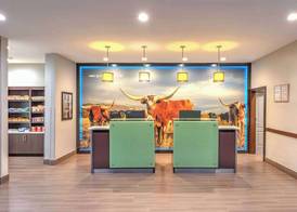 La Quinta by Wyndham Tyler - University Area 3