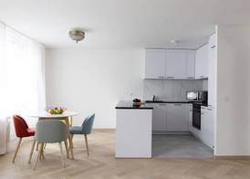Nest- Badenerstrasse 4