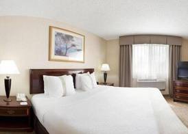 Holiday Inn & Suites CHICAGO-CAROL STREAM (WHEATON) by IHG 3