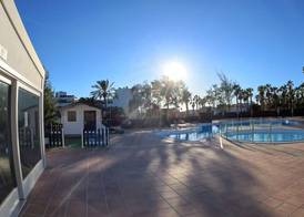 Palmeras Garden 2