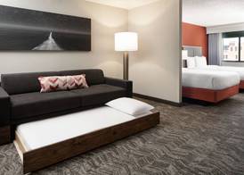 SpringHill Suites by Marriott Dallas Downtown / West End 4