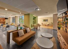 City Express Plus by Marriott Cabo San Lucas 3