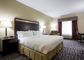 Holiday Inn Express & Suites CAMDEN-I20 (HWY 521) by IHG 3